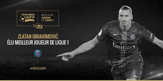 他们凭借强 他们凭借强