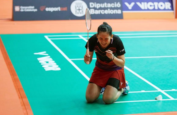 入报道了这 入报道了这