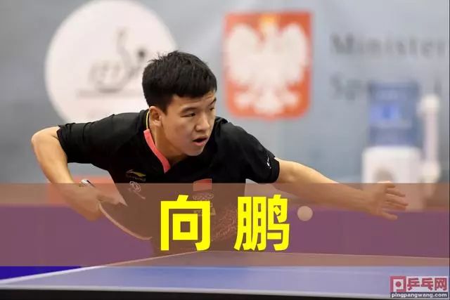 因伤病和状 因伤病和状