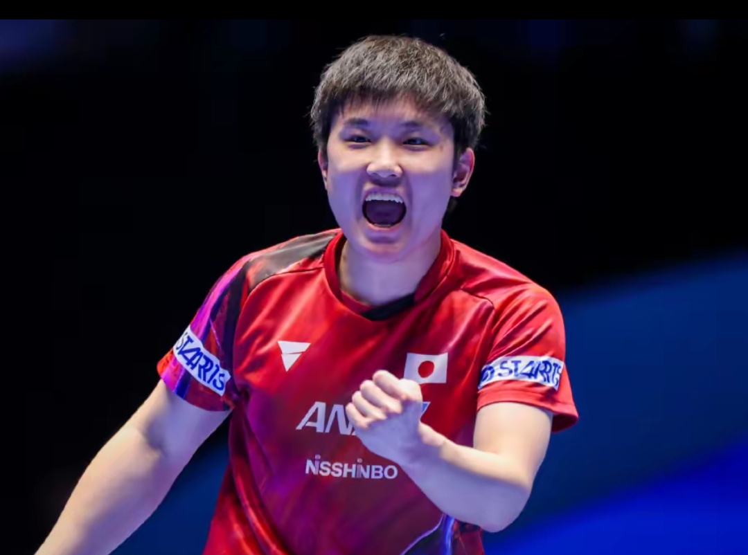 一个品牌的 一个品牌的